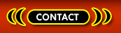 All Fantasies Phone Sex Contact Collegecoeds
